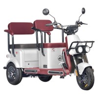 Электротрицикл Wanshida U1-X 60V 800Вт Белый