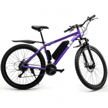 Электровелосипед FURENDO E-X1 350 фиолетовый
