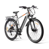 Электровелосипед Eltreco Gelbert Ran Star 2 PRO Серый