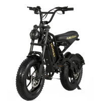 Электровелосипед IKINGI S5 PRO MINI