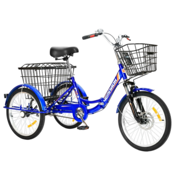 Трехколесный велосипед для взрослых РВЗ Чемпион 20" 1 скорость (складной) синий