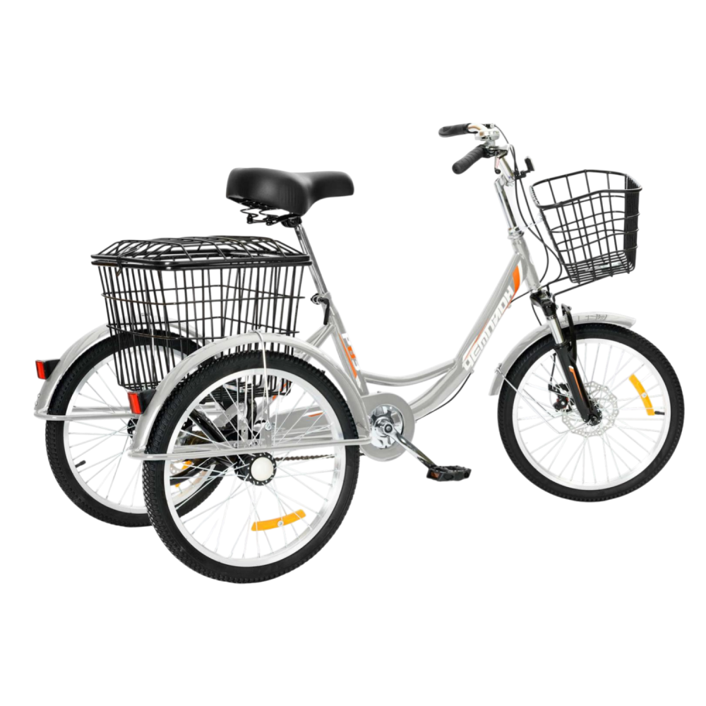 Трехколесный велосипед для взрослых РВЗ Чемпион 20" 1 скорость серебристый 1