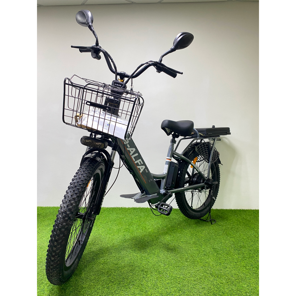 Электровелосипед GREEN CITY e-ALFA Fat, общий вид