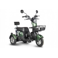 Электрический трицикл Rutrike Шкипер Trike Зеленый 