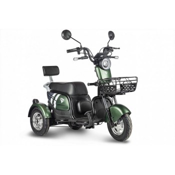 Электрический трицикл Rutrike Шкипер Зеленый 