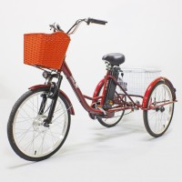 Электровелосипед GreenCamel Трайк-24 (R24 500W 48V10Ah) красный