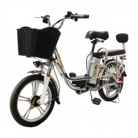 Электровелосипед GreenCamel Транк-18-60 (R18 350W 60V 13Ah) 