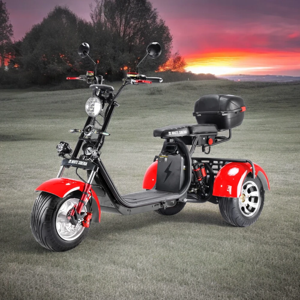 Электроскутер, общий вид