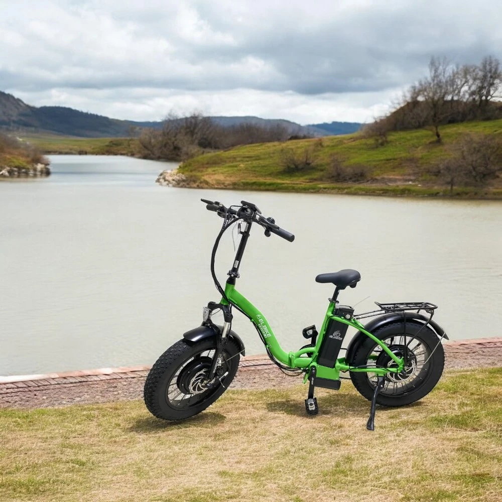 Электровелосипед электрофэтбайк Elbike TAIGA 1 Twix, общий вид