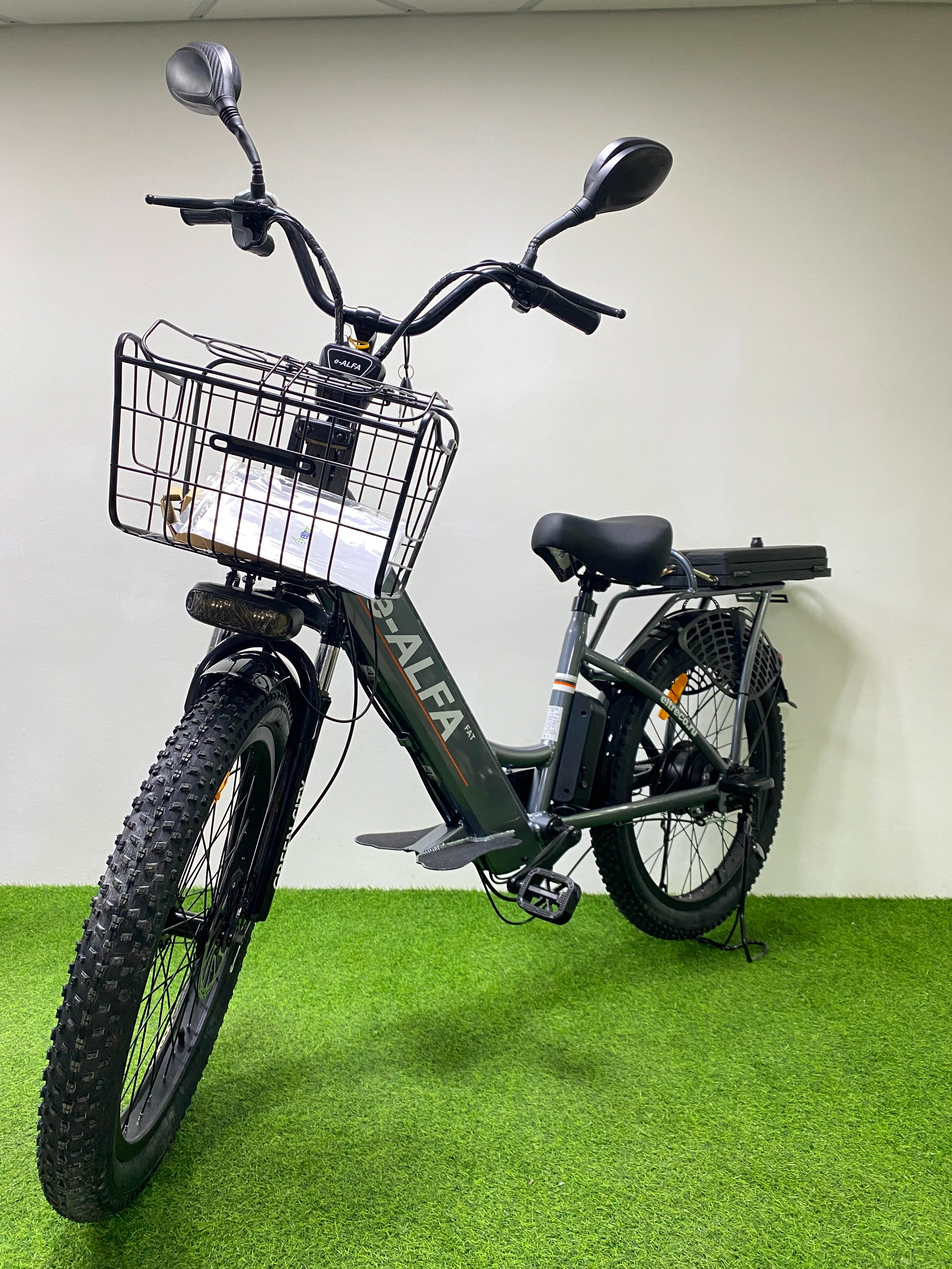 Электровелосипед GREEN CITY e-ALFA Fat, общий вид