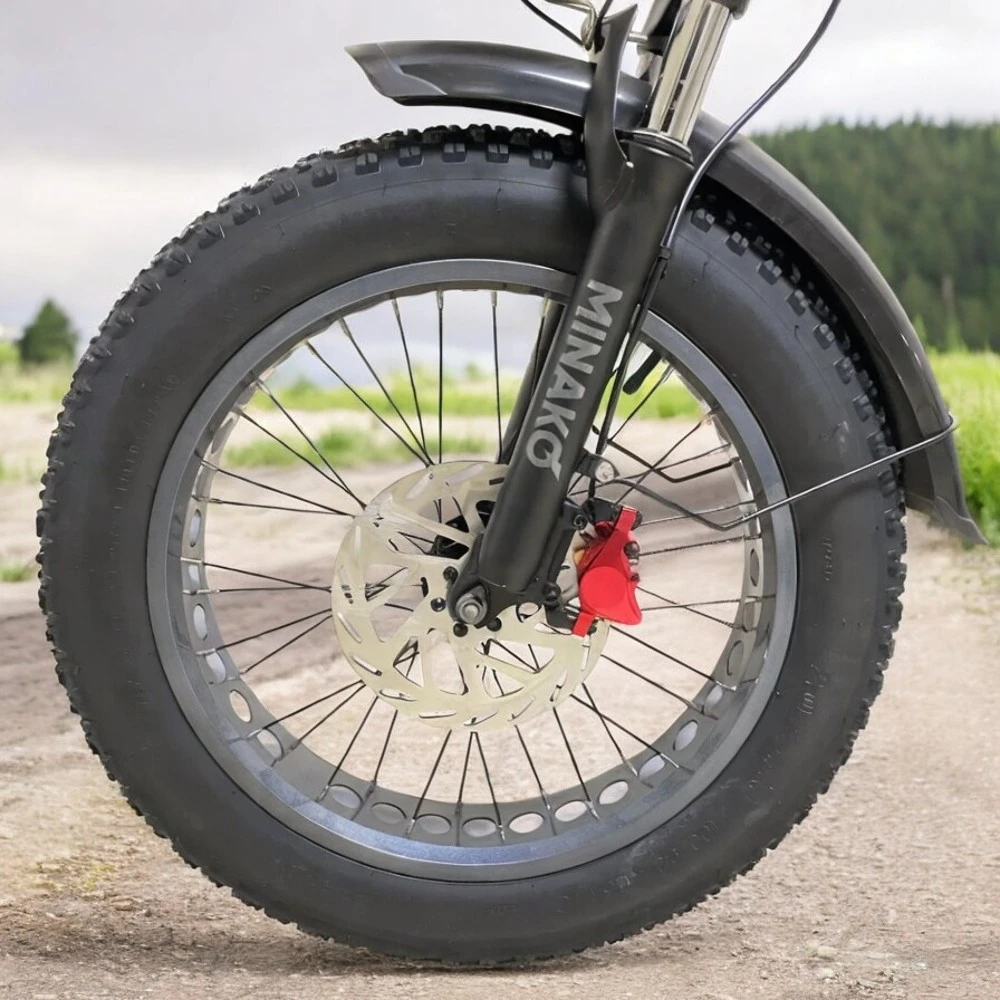 Колесо электровелосипеда, общий вид