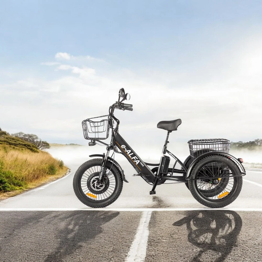 Электровелосипед GREEN CITY e-ALFA Trike, общий вид