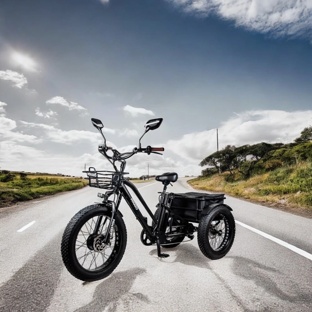 Электровелосипед Minako Trike, общий вид