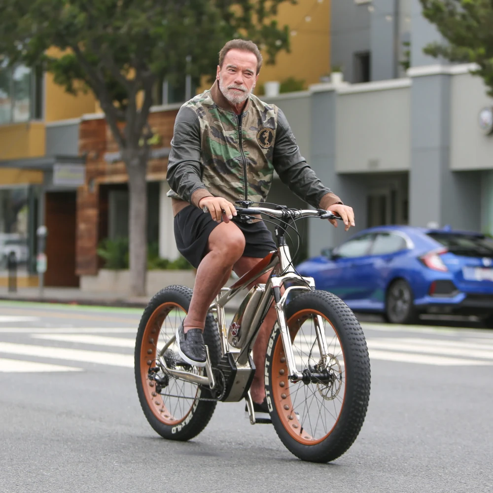 Электровелосипед для пожилых, общий вид