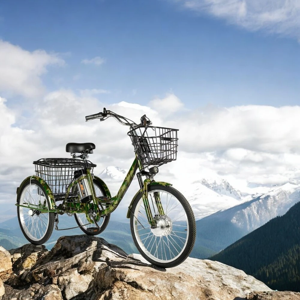 Электровелосипед РВЗ ЧЕМПИОН 250W 12AH, общий вид