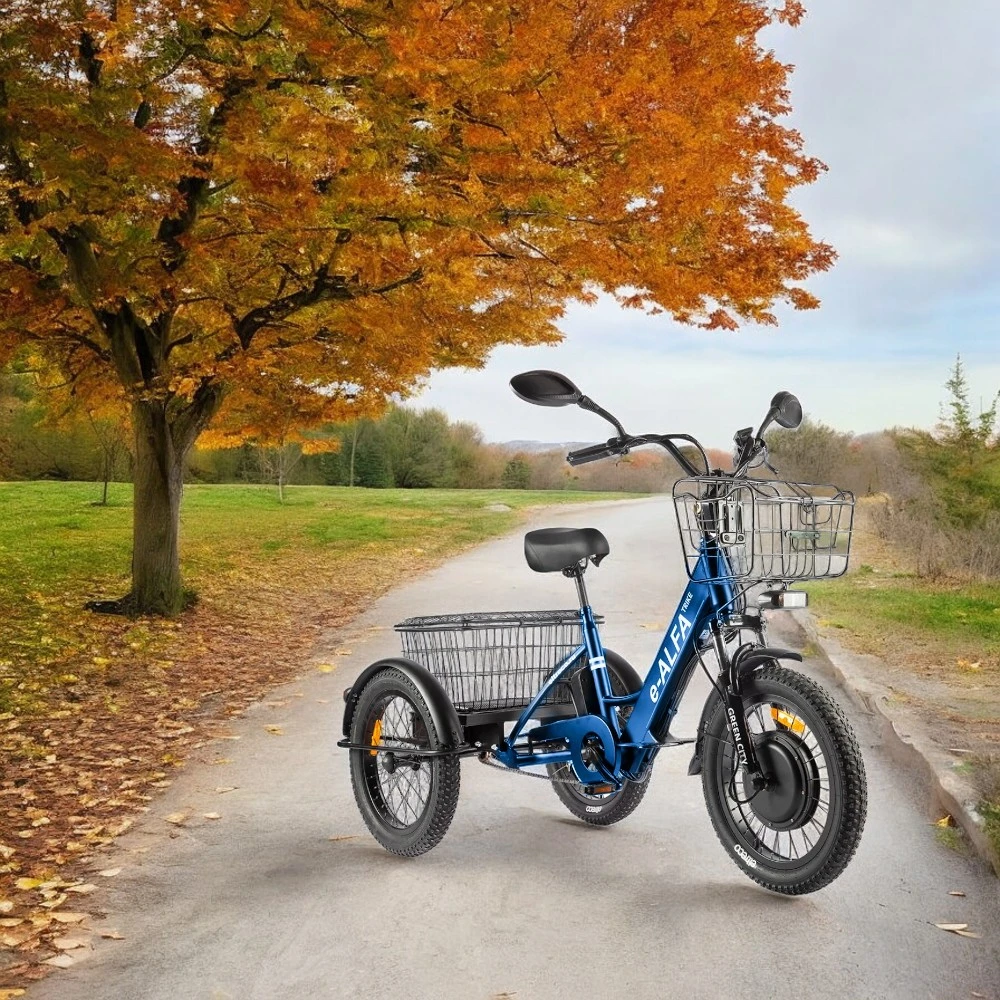 Грузовой электровелосипед, общий вид