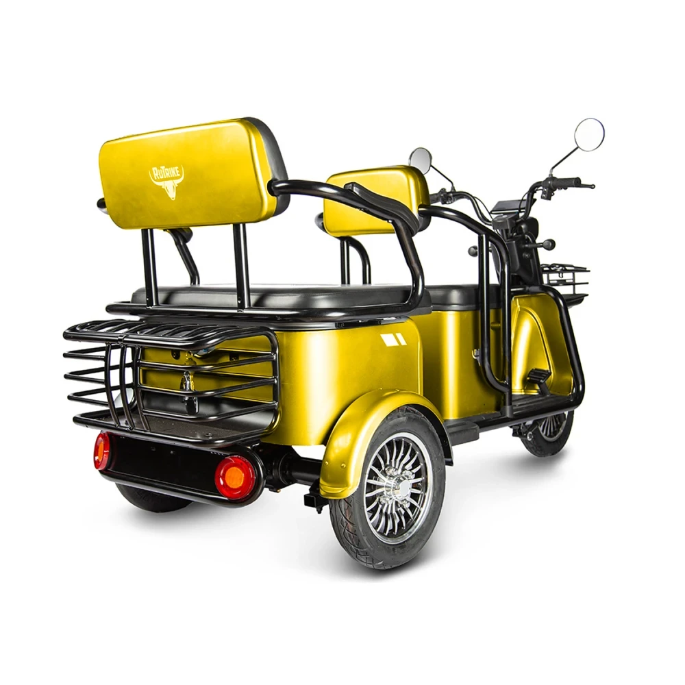 Электротрицикл Rutrike Экипаж, вид сзади