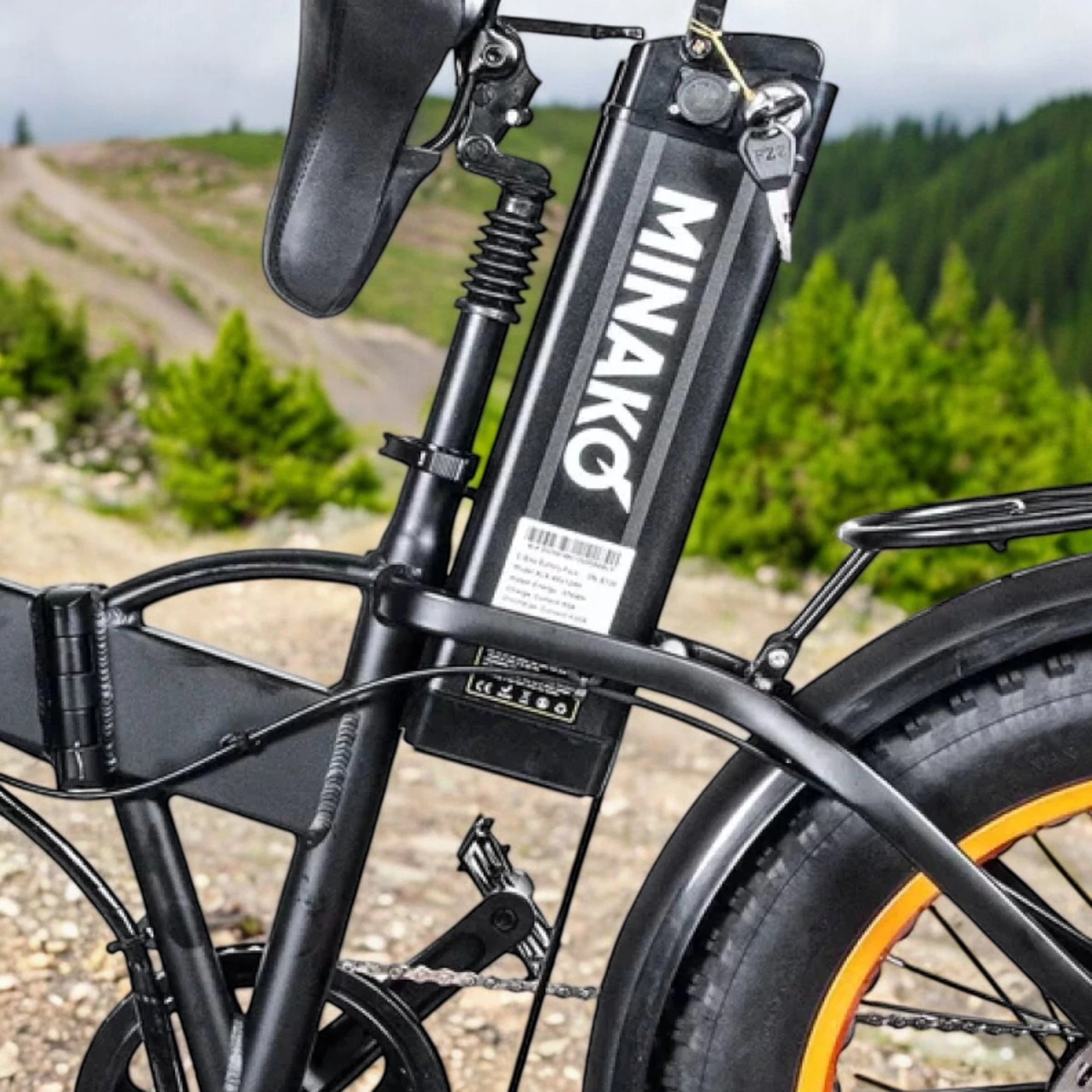 Аккумулятор электровелосипеда, общий вид