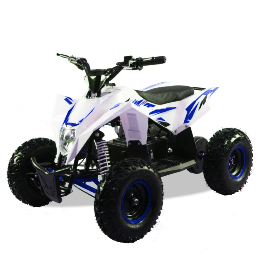 Электроквадроцикл MOTAX GEKKON 1300W, общий вид