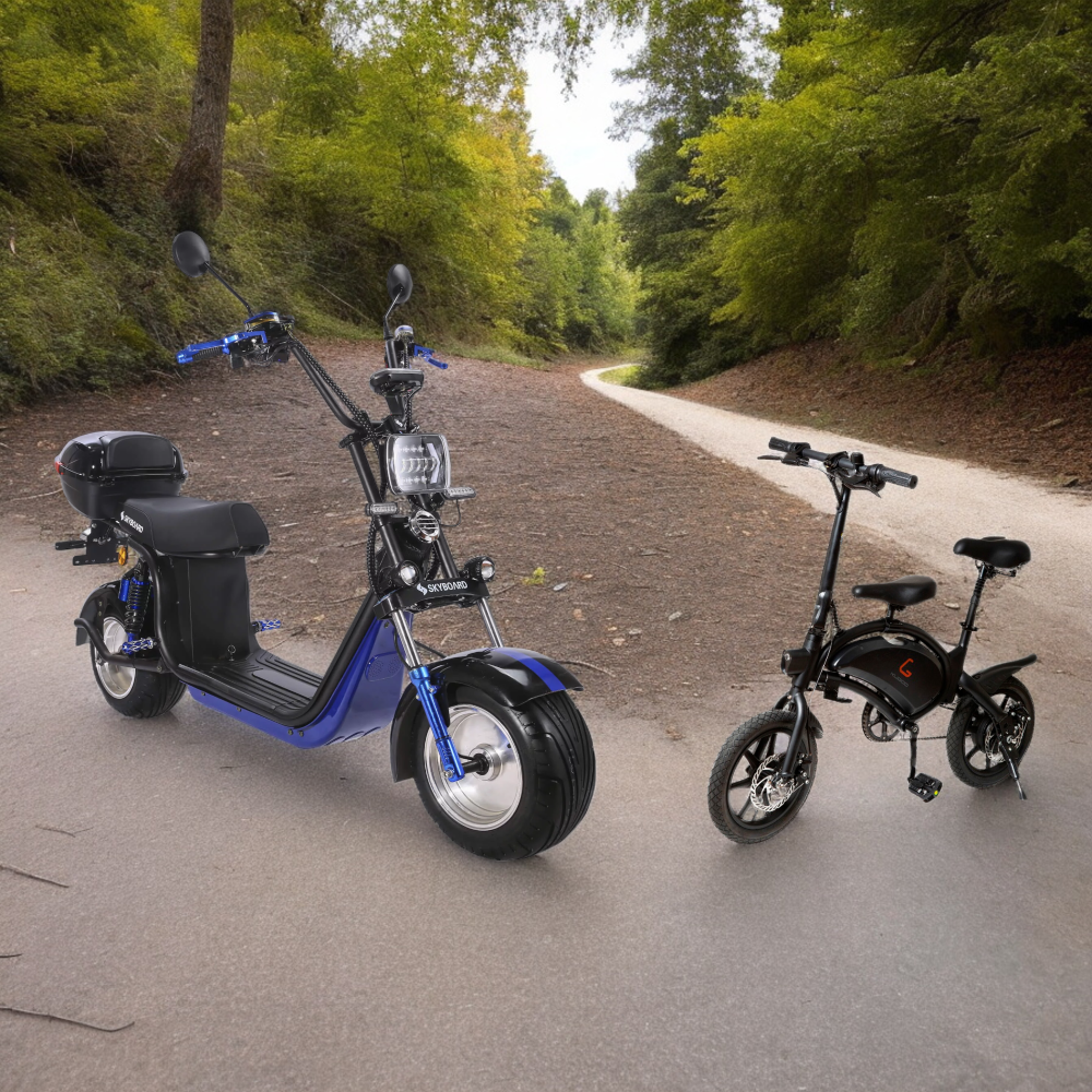 Электроскутер и электровелосипед, общий вид