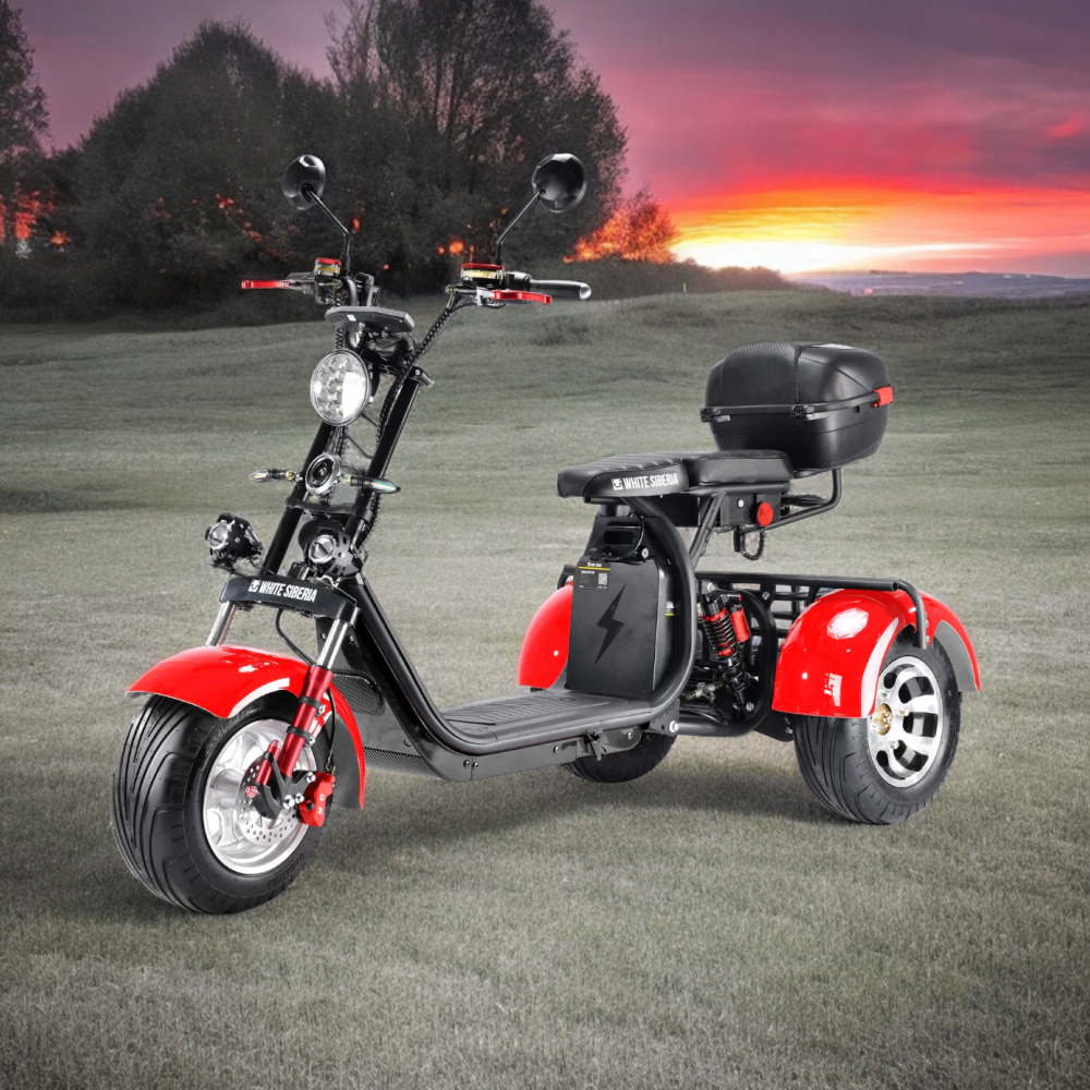 Электроскутер, общий вид