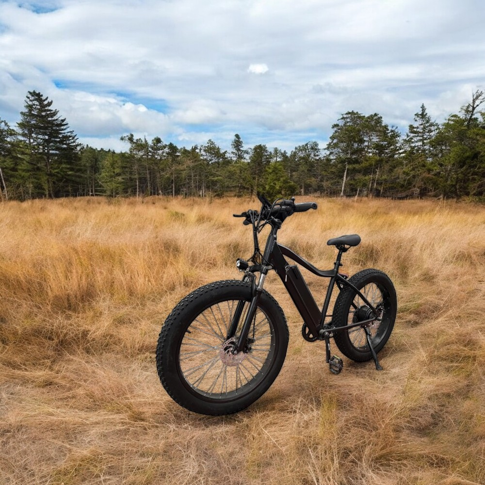 Электровелосипед IKINGI Фэтбайк, общий вид