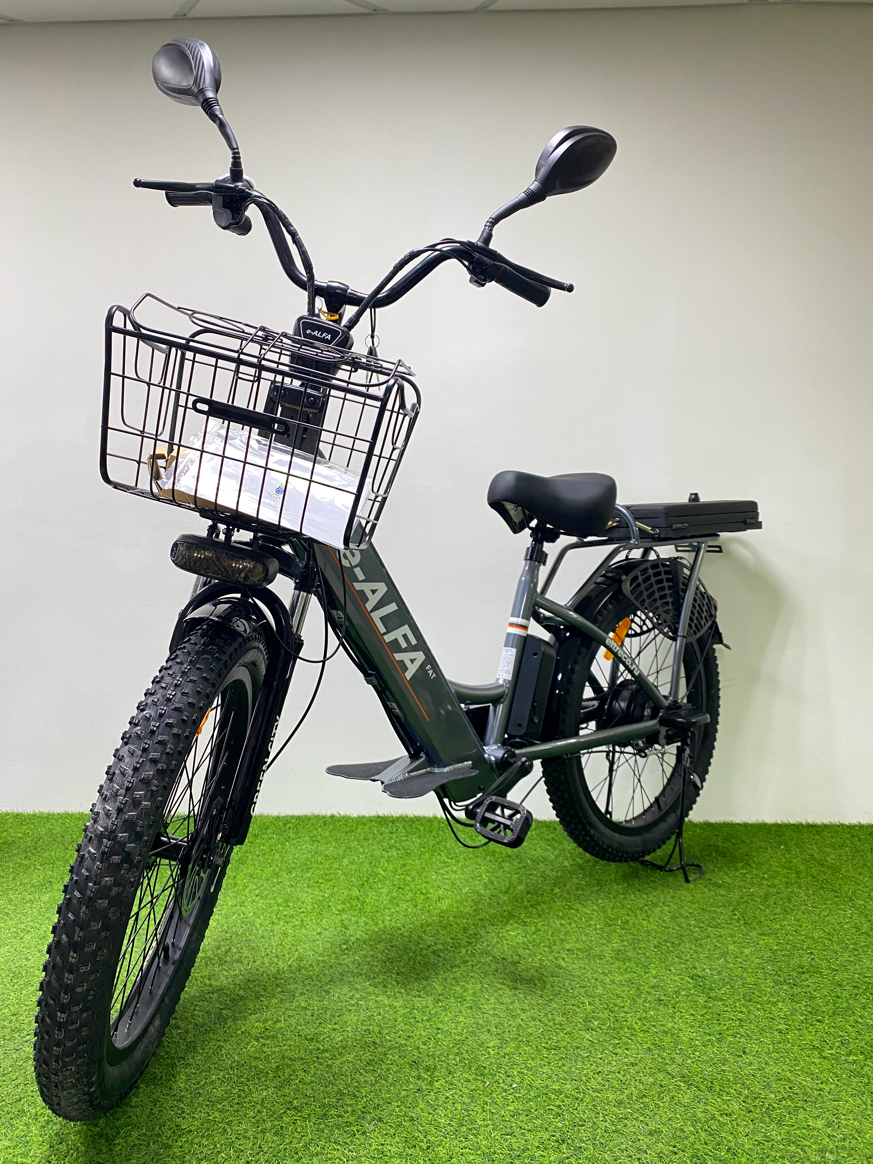 Электровелосипед GREEN CITY e-ALFA Fat, общий вид