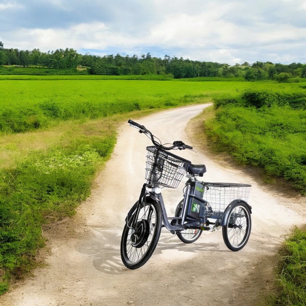Трехколесный электровелосипед, общий вид