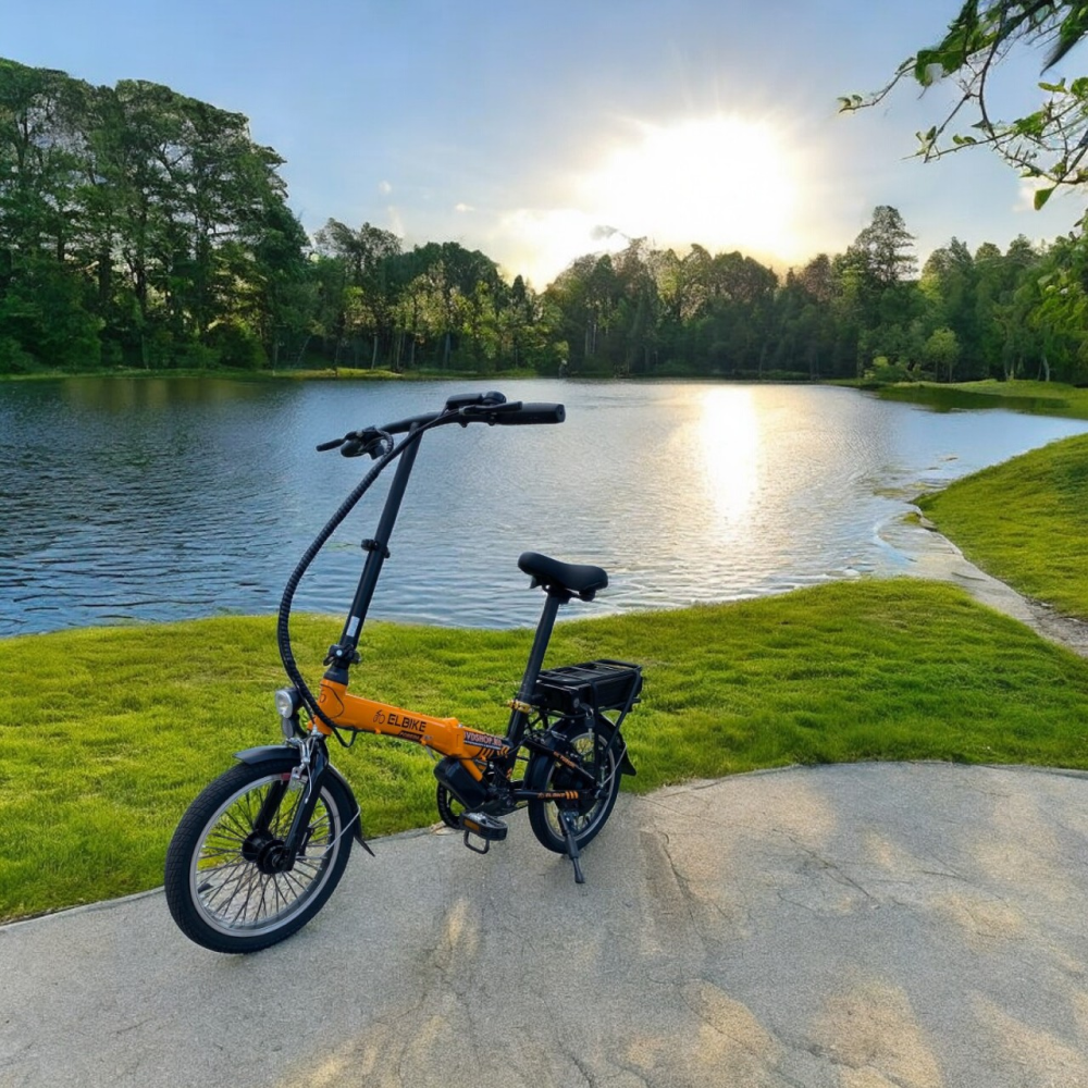 Двухколесный электровелосипед, общий вид