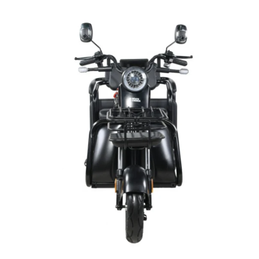 Электротрицикл White Siberia Sibtrike 2000W, общий вид