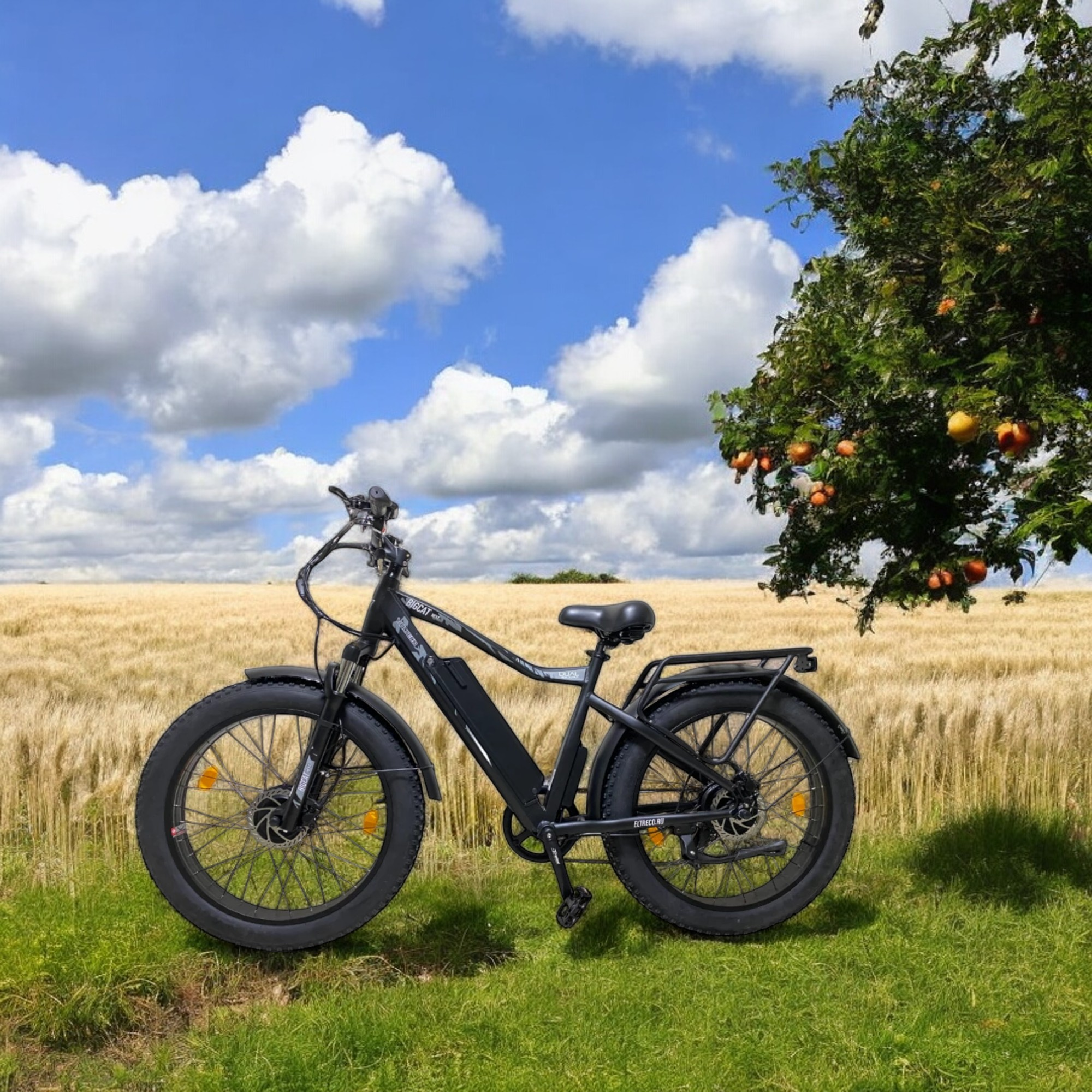 Электровелосипед VOLTECO BigCat Dual Next, общий вид